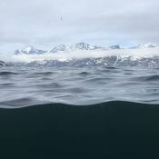Submarine dive expeditions in Greenland with the U-Boat Worx C-Explorer 3 from Motor Yacht Legend